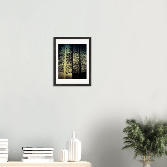 Gerahmter Fine-Art-Fotografie mit invertierter Baumfotografie als atmosphärische Wanddekoration in modernem Interieur.
