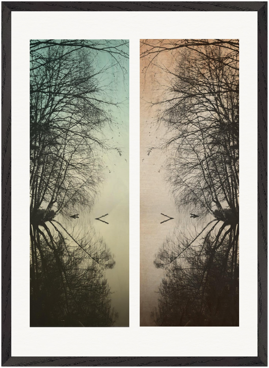 „Davor und Danach“ – vertikale experimentelle Kunstfotografie von Stanislav Shnaider. Zwei gegenübergestellte Waldmotive in kühlen Grün- und warmen Ockertönen erzeugen eine geheimnisvolle Spannung zwischen Erinnerung, Veränderung und Wahrnehmung. Limitierte Fotokunst im Format 50 × 70 cm.