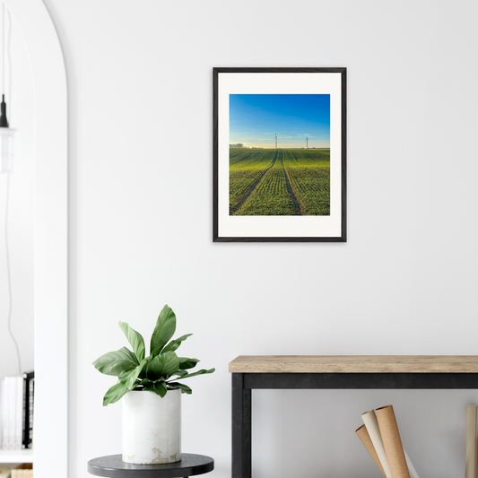 Fine-Art-Fotografie „Die Heilige Transformation“ von Stanislav Shnaider, präsentiert in einem hellen modernen Interieur mit Holzkonsole, Zimmerpflanze und neutraler Wandgestaltung.
