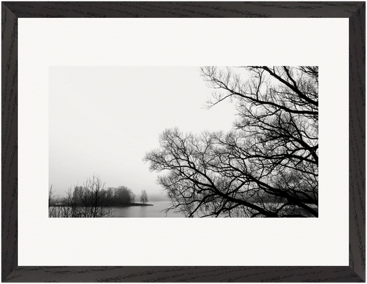 Gerahmtes Fine-Art-Kunstwerk mit grafischen Baumstrukturen und ruhiger Atmosphäre.