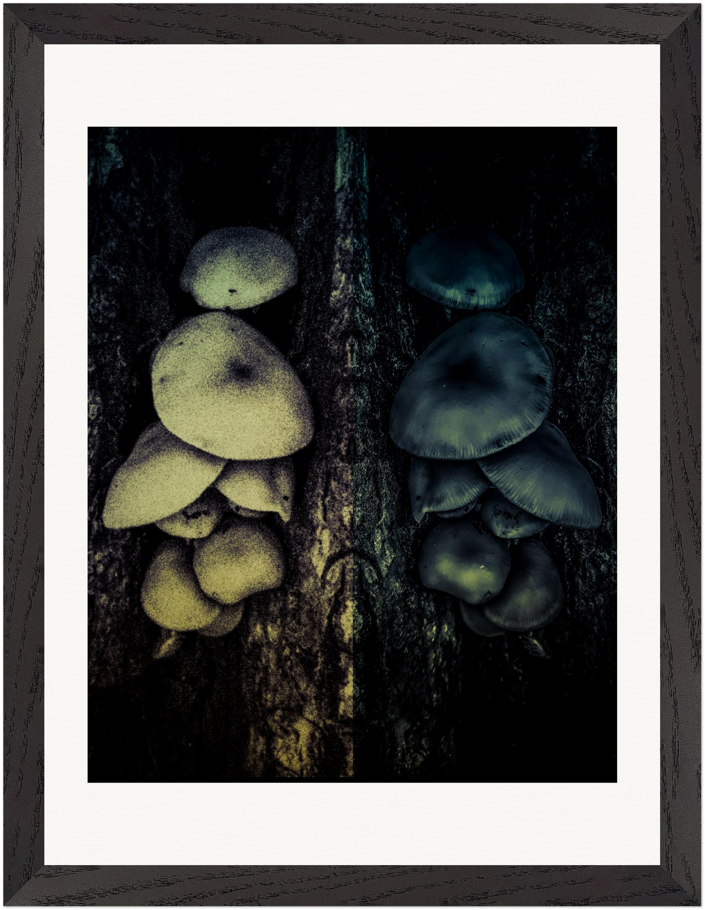 Gerahmter Fine-Art-Fotografie mit surrealer Pilzreflexion in dunklen Grün- und Schwarztönen.