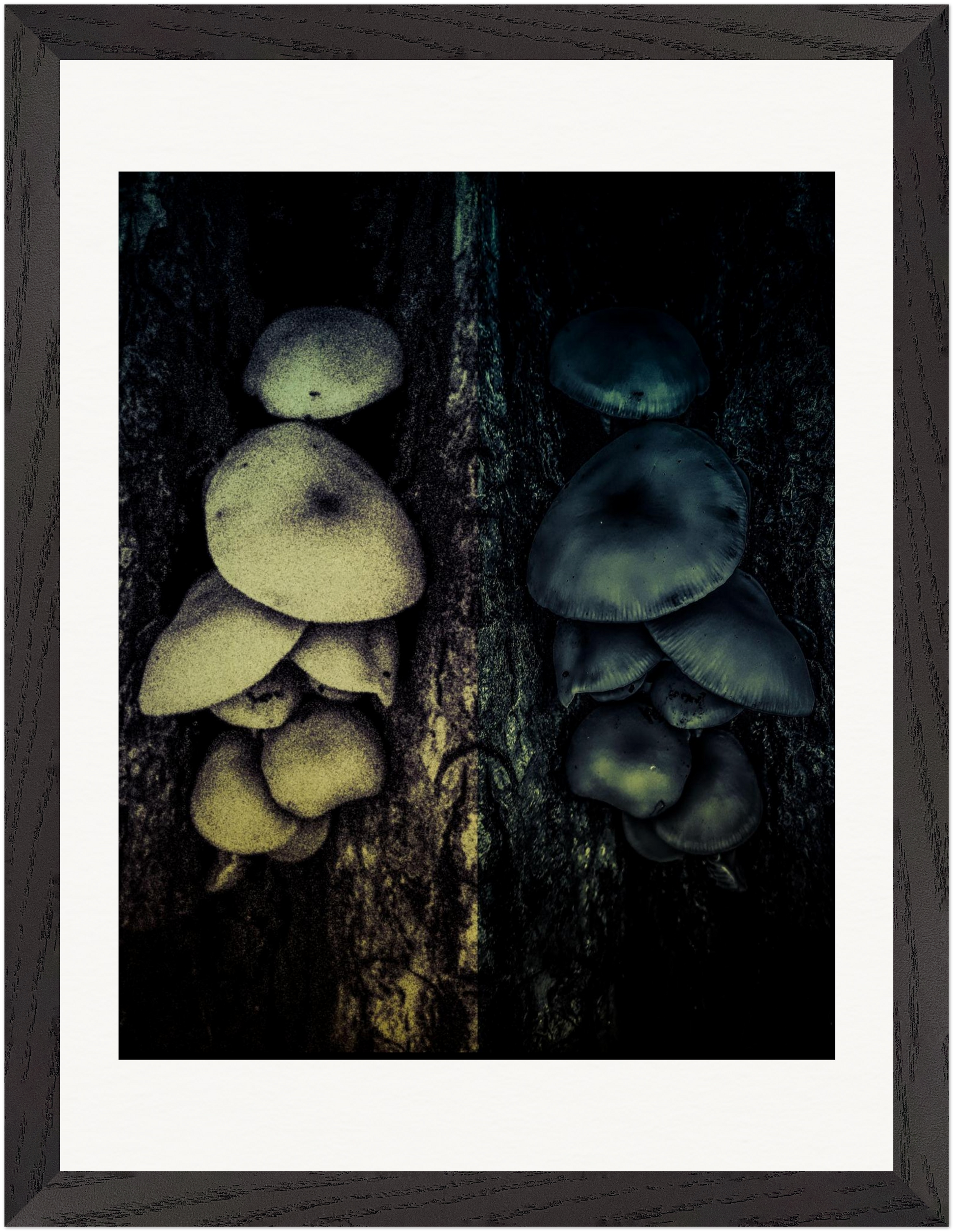 Gerahmter Fine-Art-Fotografie mit surrealer Pilzreflexion in dunklen Grün- und Schwarztönen.
