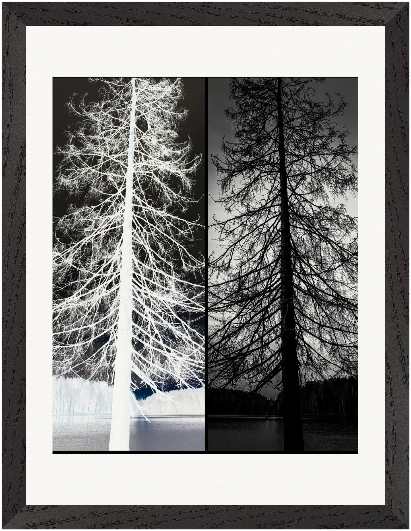 Gerahmte Fine-Art-Fotografie mit kontrastreicher Schwarz-Weiß-Komposition eines surrealen Baummotivs.