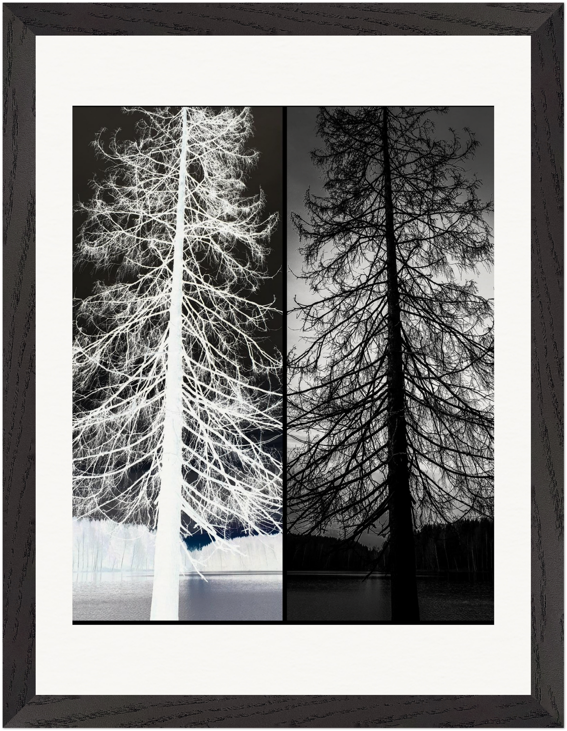 Gerahmte Fine-Art-Fotografie mit kontrastreicher Schwarz-Weiß-Komposition eines surrealen Baummotivs.