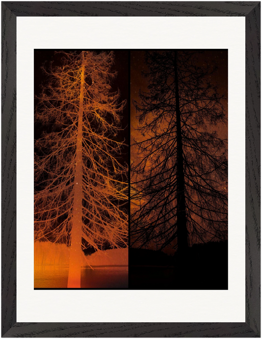 Gerahmte Fine-Art-Fotografie mit invertierter Baumstruktur in warmen orange-schwarzen Tönen.