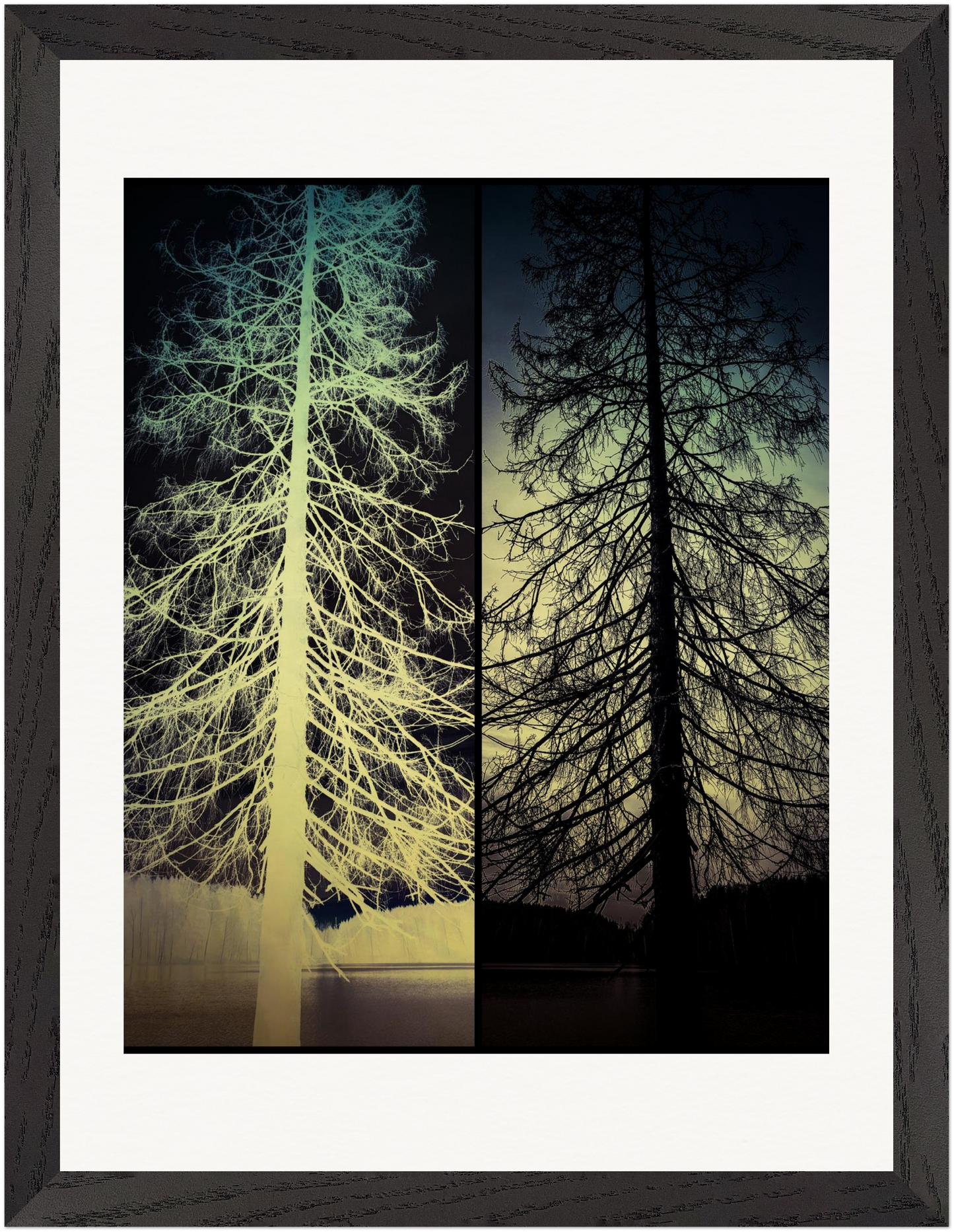 Gerahmter Fine-Art-Fotografie mit invertierter Baumfotografie und surrealer Waldstruktur.