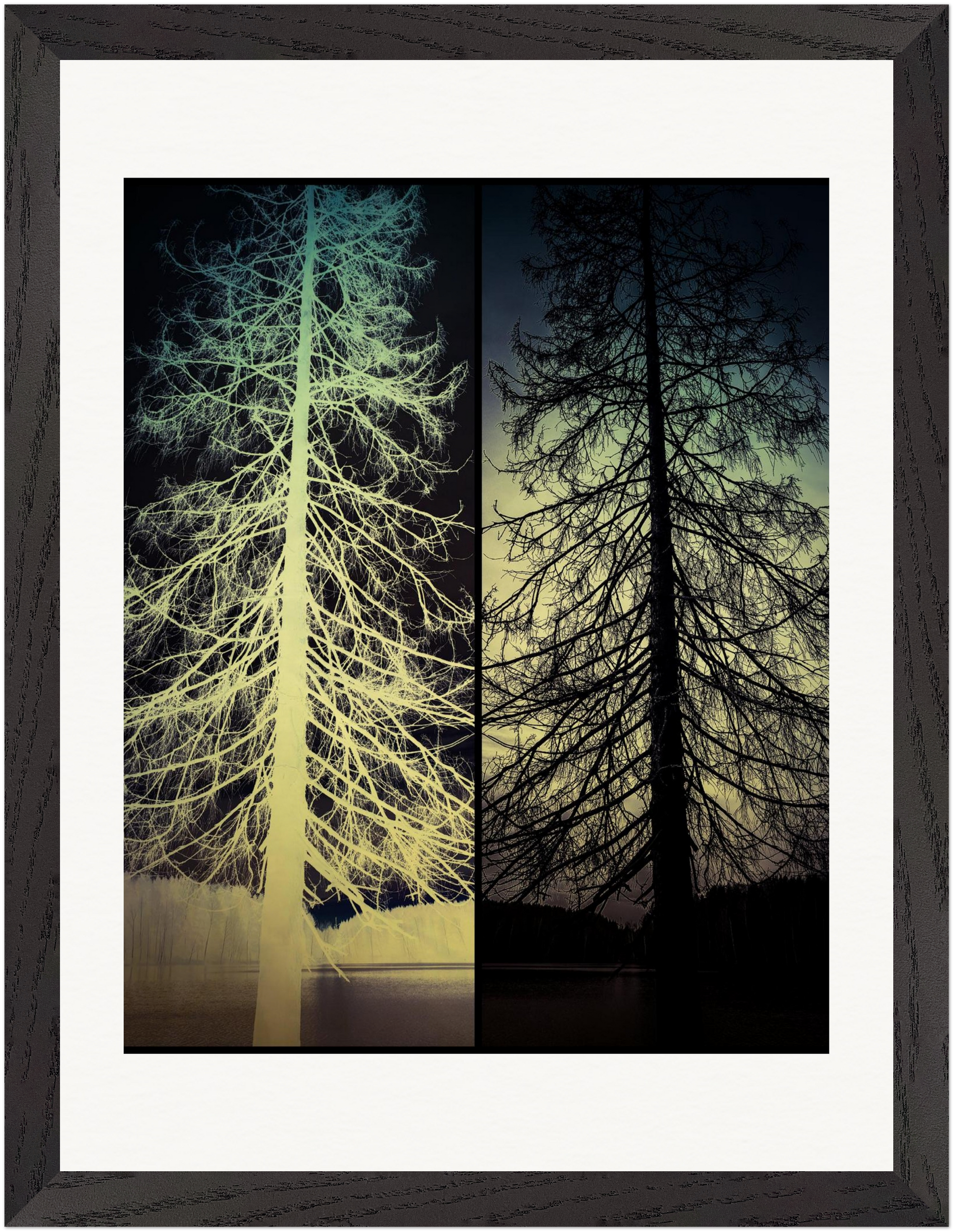 Gerahmter Fine-Art-Fotografie mit invertierter Baumfotografie und surrealer Waldstruktur.