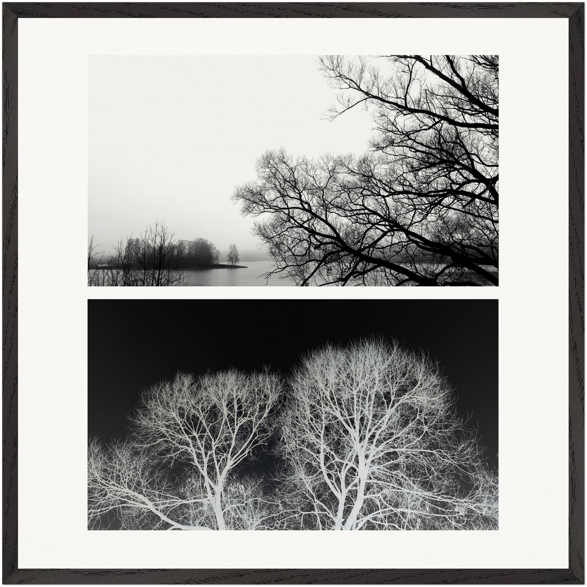 „Fragment der Anwesenheit“ – limitierte konzeptuelle Fine-Art-Fotografie von Stanislav Shnaider. Ausdrucksstarke Komposition aus zwei kontrastierenden Aufnahmen winterlicher Bäume – zeitgenössische Fotokunst für moderne Interieurs und Kunstsammlungen.