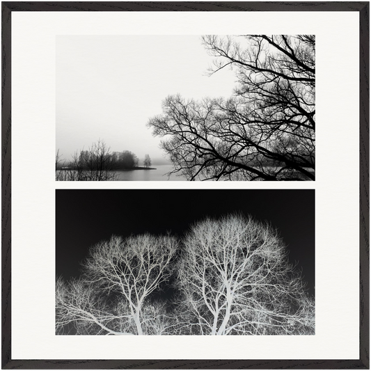 „Fragment der Anwesenheit“ – limitierte konzeptuelle Fine-Art-Fotografie von Stanislav Shnaider. Ausdrucksstarke Komposition aus zwei kontrastierenden Aufnahmen winterlicher Bäume – zeitgenössische Fotokunst für moderne Interieurs und Kunstsammlungen.