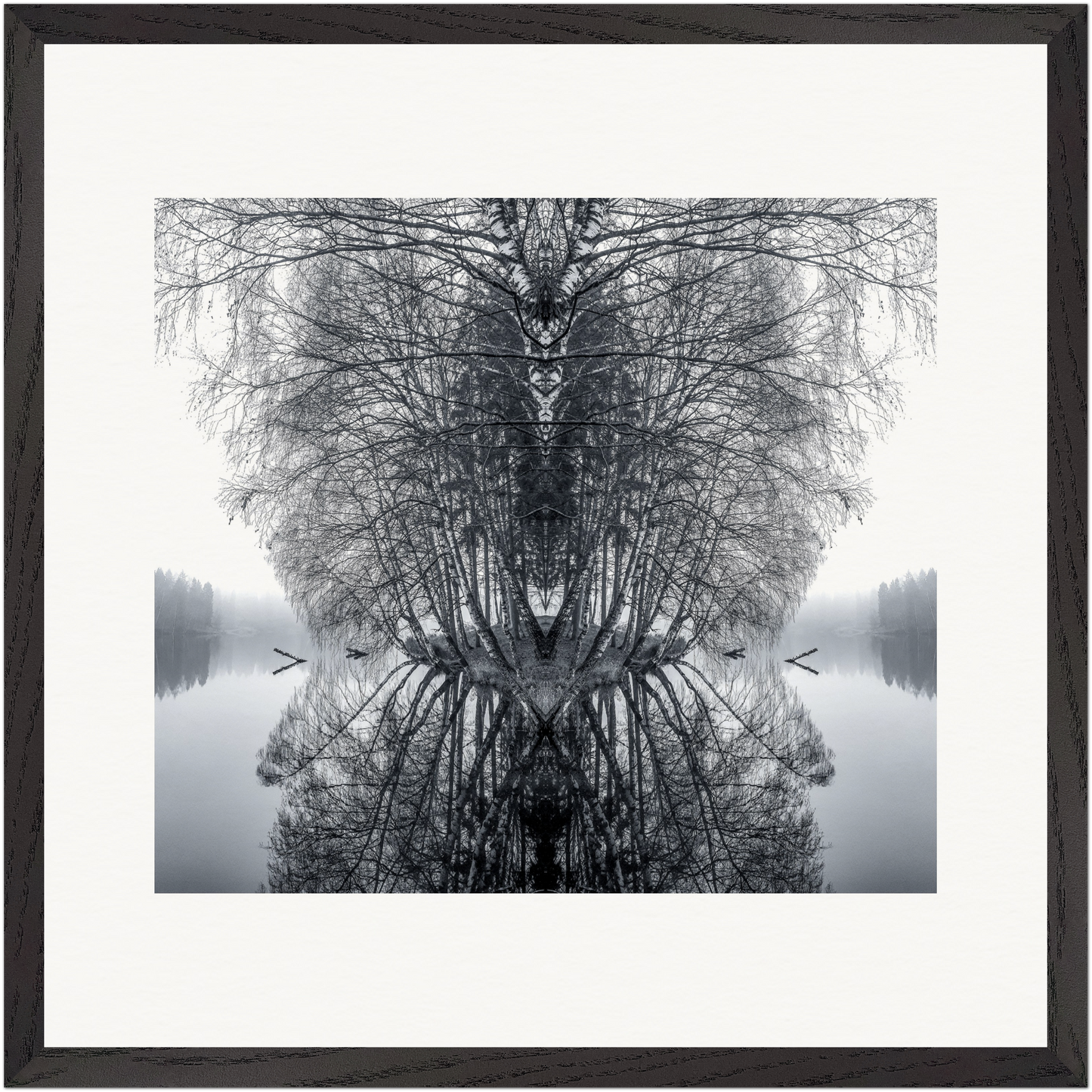 Gerahmte Schwarz-Weiß-Fotografie einer symmetrischen Waldlandschaft mit Spiegelung im Wasser.