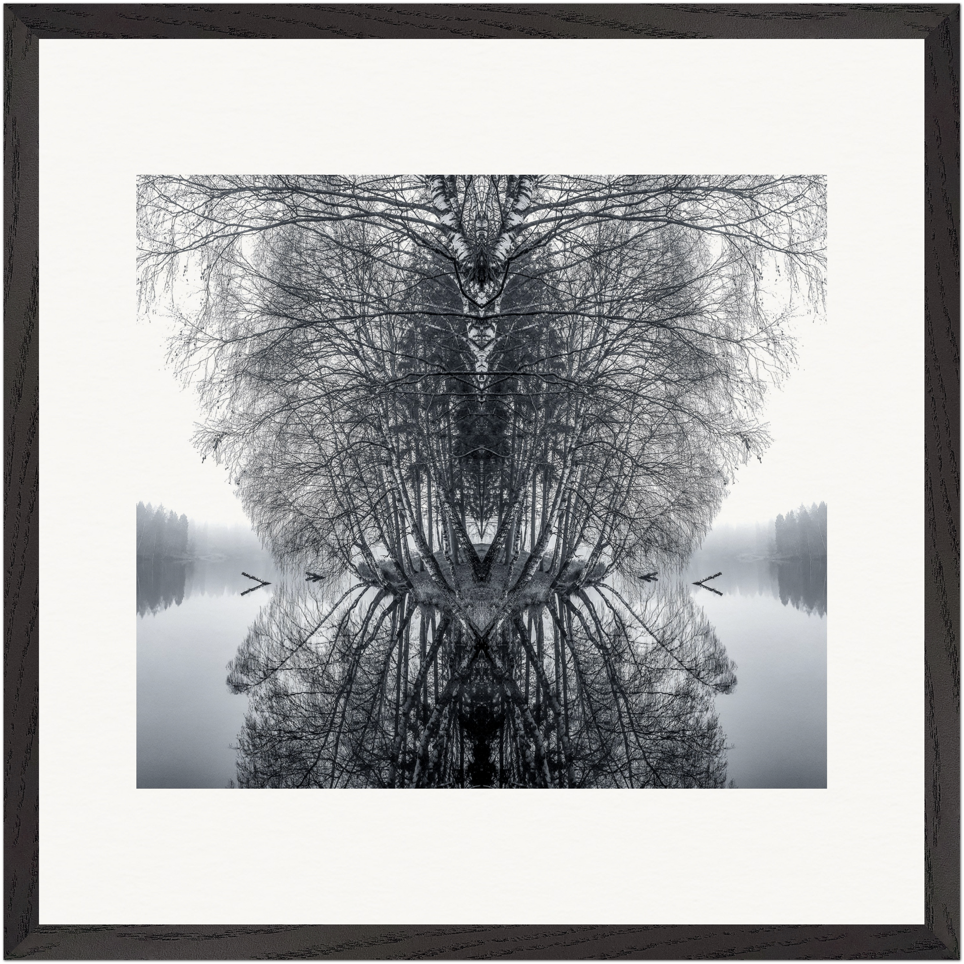 Gerahmte Schwarz-Weiß-Fotografie einer symmetrischen Waldlandschaft mit Spiegelung im Wasser.